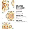 imageMaison Berger  Ocean Breeze  Lampe Berger Fragrance Refill for Home Fragrance Oil Diffuser  169 Fluid Ounces  500 millilitersOrange Cinnamon