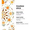 imageMaison Berger  Ocean Breeze  Lampe Berger Fragrance Refill for Home Fragrance Oil Diffuser  169 Fluid Ounces  500 millilitersPumpkin Spice