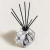 imageReed Diffuser  Cube  Clear  Scented Bouquet with Reed Sticks  Prefilled with Lampe Berger Fragrance  125 Milliliters  42 Fluid Ounces CitronellaParis Chic