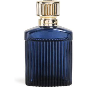 imageMAISON BERGER Model Alpha Fragrance Lamp Diffuser Plum  Air Purifier ampamp Home Scent Diffuser  Gift Set wCotton Wick Silver Cap Funnel  No Oil Included  67x37x22 inchesBlue