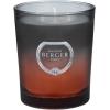 imageMAISON BERGER Candle  Dare  100 Vegan Wax Scented Candle  3 x 3 x 35 inches  180g  634 oz  Made in France Rose Gray