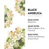 imageMaison Berger  Bleu Seduction  Lampe Berger Fragrance Refill Oil for Home Diffusers  Luxury Air Freshener with Grapefruit Marine Notes ampamp Sandalwood  169 Fl Oz 500mlBlack Angelica