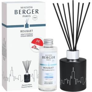 imageMaison Berger Scented Bouquet with Reed Sticks Prefilled with Fragrance Ocean Breeze 100 milliliters 42Fluid Onces  Doctors Without Borders MSF  91 x 91 x 31 inches