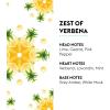 imageMAISON BERGER  Reed Diffuser Fragrance Refills  676 fl oz 200 mL  Home Fragrance Oil for Reed amp Ceramic Diffusers  Made in France Lemon FlowerZest of Verbena 2