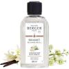 Black Angelica