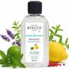 Zest of Verbena 2