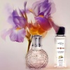 image:imageMAISON BERGER Disco Lampe Berger Gift Set Pink Black Angelica  Lacquered Glass Catalytic Lamp Set 250 ml Black Angelica Refill Helps Neutralize Odors then Perfumes Made in FrancePink  Black Angelica